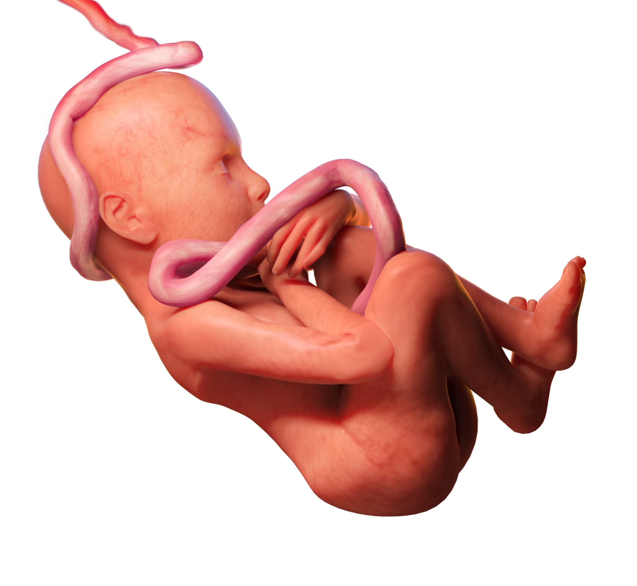 Umbilical Cord Compression and Your Baby's Health