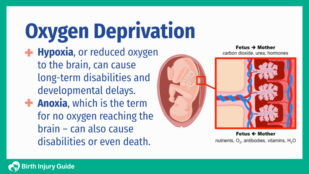 Guide To Oxygen Deprivation At Birth - Birth Injury Guide