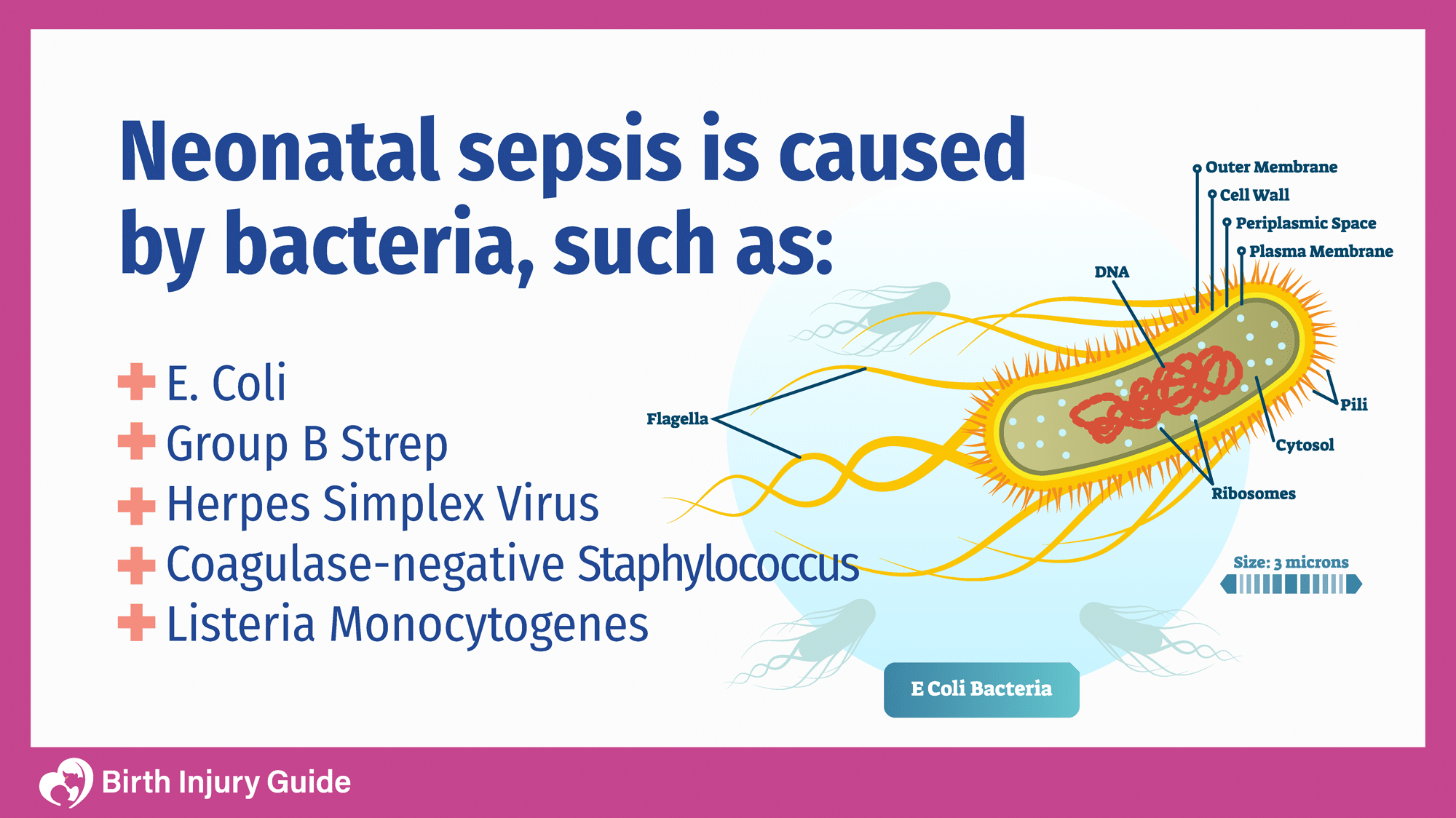 Neonatal Sepsis - Birth Injury Guide