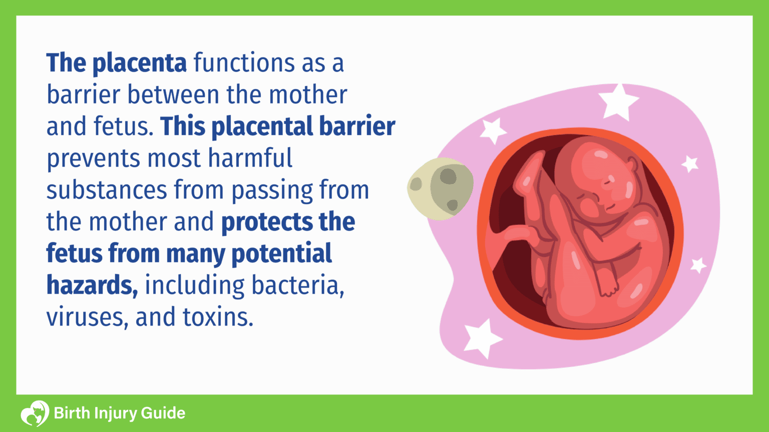 Exposure To Chemicals During Pregnancy - Birth Injury Guide